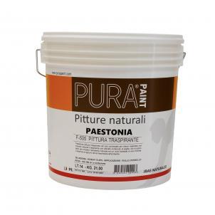 PURA PITTURA NATURALE PAESTONIA KG.4