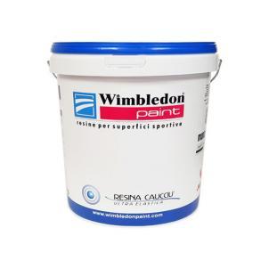 WIMBLEDON PAINT CLASSICO (KG.20)