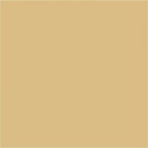 RAL 1001 BEIGE