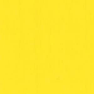 RAL 1018 GIALLO SOLE