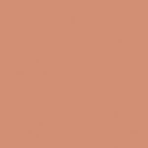 RAL 3012 ROSSO BEIGE