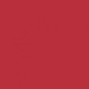 RAL 3027 ROSSO LAMPONE