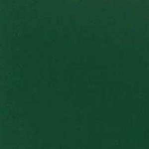 VERDE VITTORIA RAL 6005