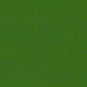 VERDE PINETA RAL 6010