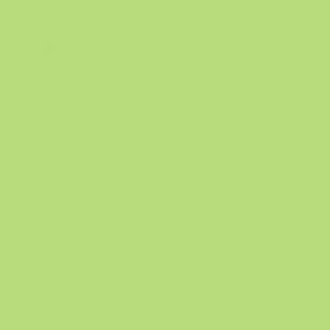 SWIMMING PAINT VERDE SOLE PANTONE 365U